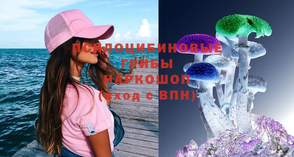 метадон Белокуриха