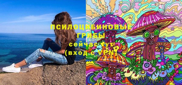 метадон Белокуриха